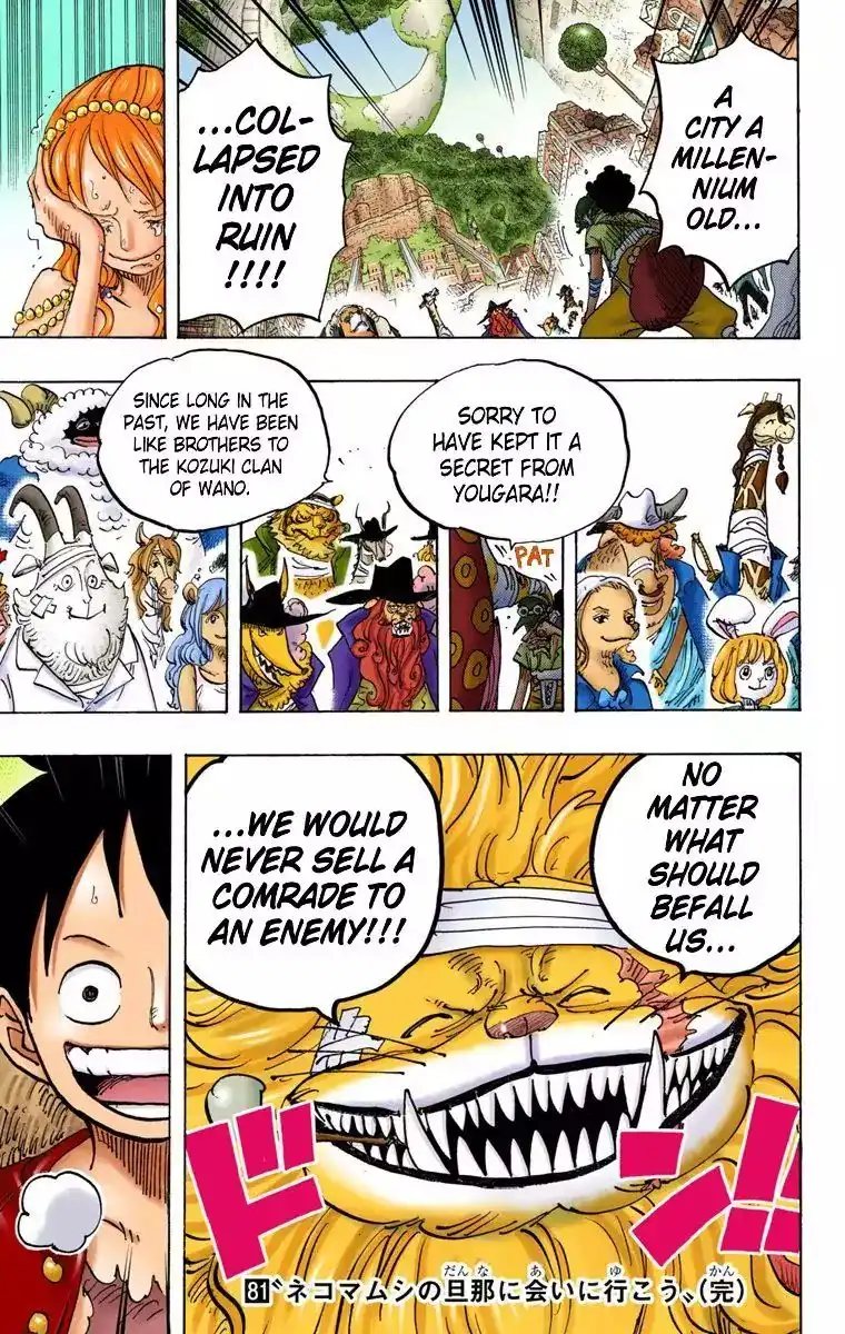 One Piece - Digital Colored Comics Chapter 816 16